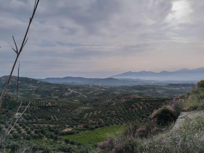 Cultivated hills and distant mountains