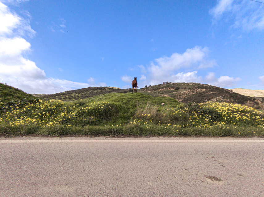 A solitary figure on a distant ridge