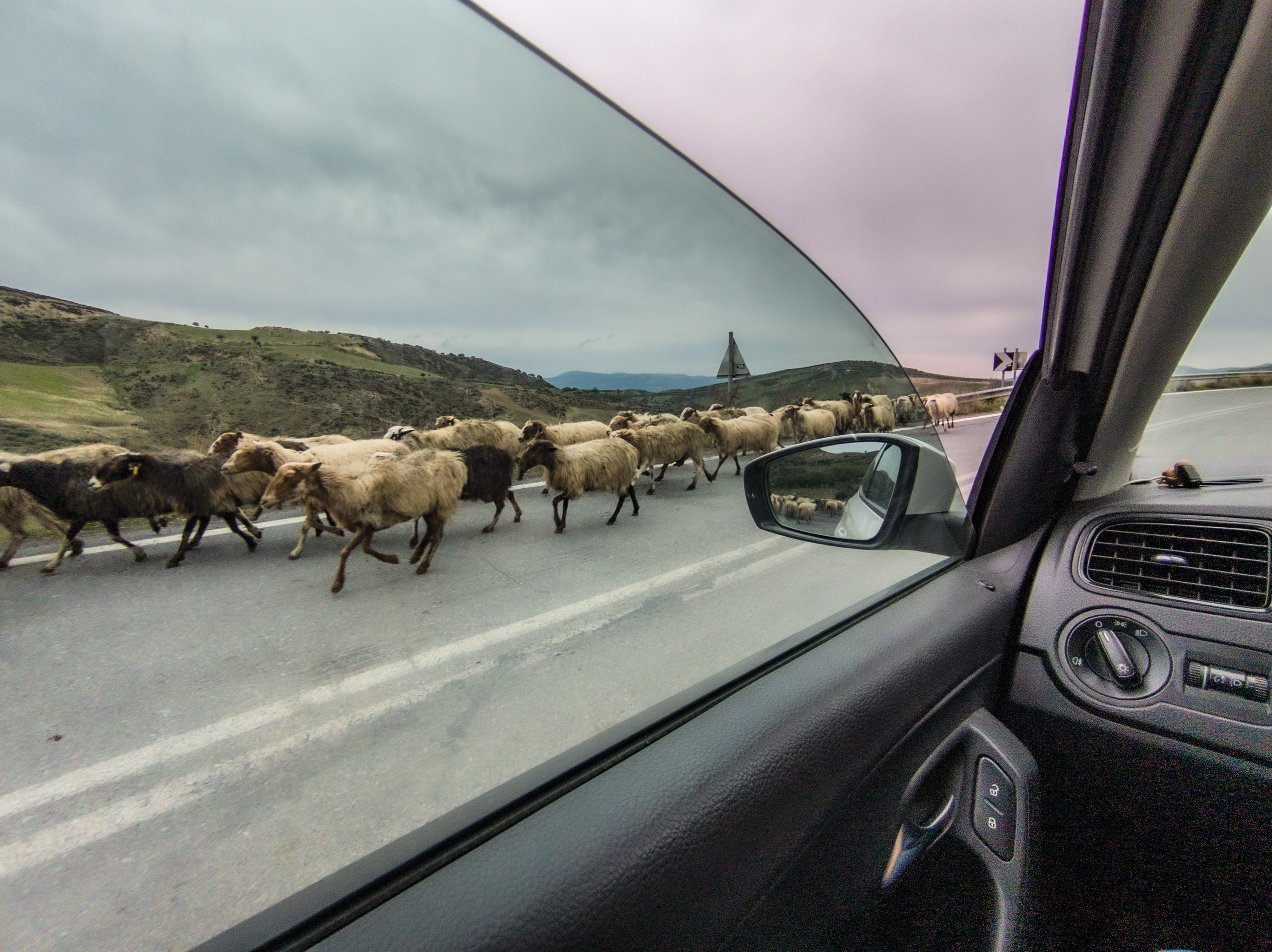A flock of sheep crossing the road in rural Crete